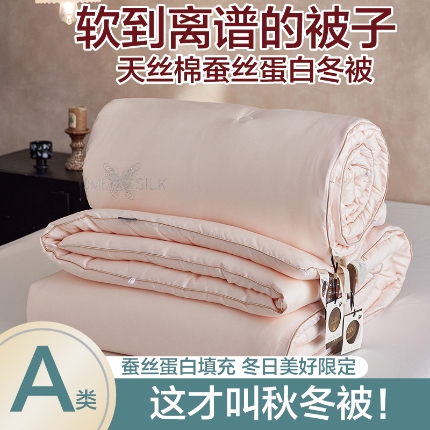91家纺网 家纺一手货源 找家纺 （总）莱宁被业 2025新款A类纯色天丝棉烫钻蚕丝蛋白被子冬被春秋被芯
