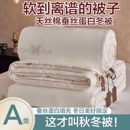 91家纺网 家纺一手货源 找家纺 莱宁被业 2025新款经典臻品驼毛被加厚保暖冬被学生被子春秋被芯 沙洲驼