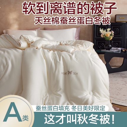 91家纺网 家纺一手货源 找家纺 （总）2025新款A类天丝棉彩丝提花烫钻蚕丝蛋白被被子保暖被芯春秋被冬被
