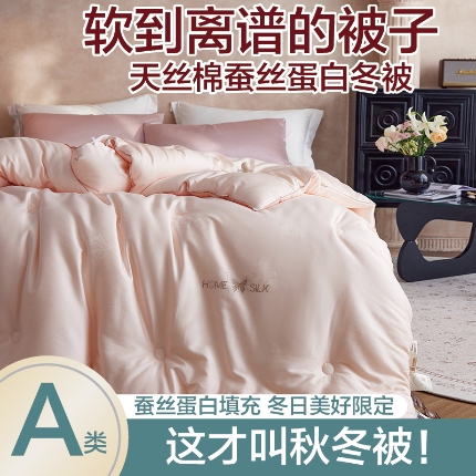 91家纺网 家纺一手货源 找家纺 （总）2025新款A类天丝棉彩丝提花烫钻蚕丝蛋白被被子保暖被芯春秋被冬被