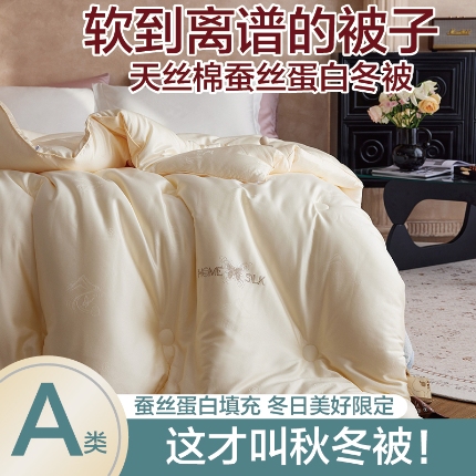 91家纺网 家纺一手货源 找家纺 （总）2025新款A类天丝棉彩丝提花烫钻蚕丝蛋白被被子保暖被芯春秋被冬被