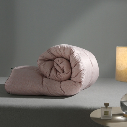 91家纺网 家纺一手货源 找家纺 （总）门市现充！国标95白鹅绒冬被单双人结婚庆礼品羽绒被春秋子母被子芯 礼物