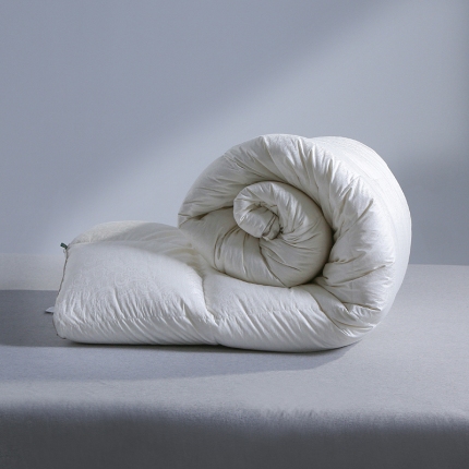 91家纺网 家纺一手货源 找家纺 （总）门市现充！国标95白鹅绒冬被单双人结婚庆礼品羽绒被春秋子母被子芯 礼物