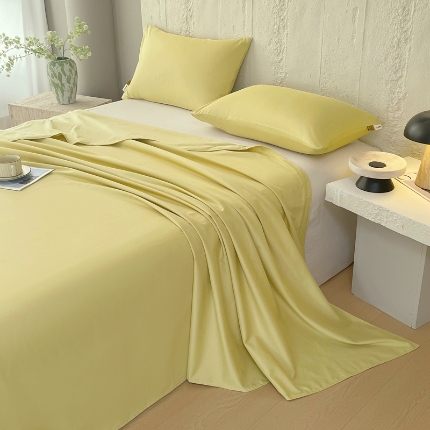 91家纺网 家纺一手货源 找家纺 （总）宝莱利家纺 2025全棉100棉四季款A类纯色加厚高密度轻磨毛床单床笠一件定制