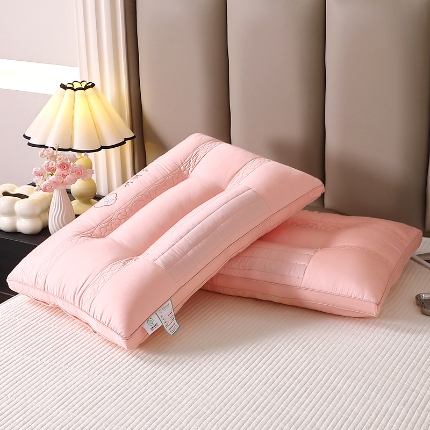 （总）兴丝露枕芯 A类全棉决明子枕 花草保健护颈枕 全棉羽丝绒枕头