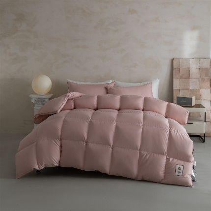 （总）门店可现充！精选95白鹅绒冬被单双人羽绒被95白鹅绒春秋子母被子芯