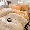 91家纺网 家纺一手货源 找家纺 （含买家秀）2025新款条纹纯色牛奶绒撞色四件套秋冬加厚保暖牛奶绒床单床笠款床上用品