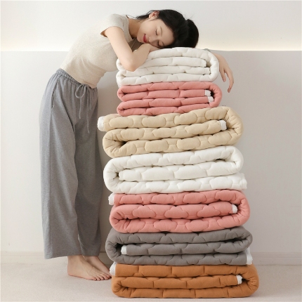 91家纺网 家纺一手货源 找家纺 （总）索弗莱家纺 2025秋冬超暖抗静电摇粒绒加厚床垫