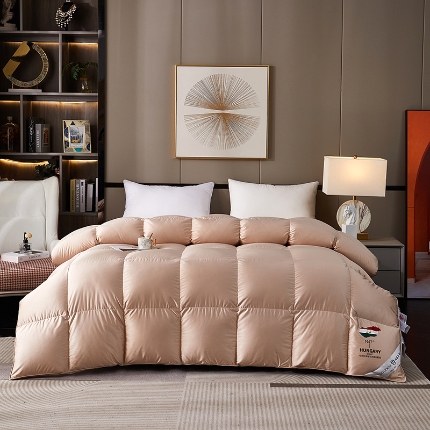 抗日家纺 新款奢华纯色真丝缎单层防绒羽绒被壳 一件起批 香槟金