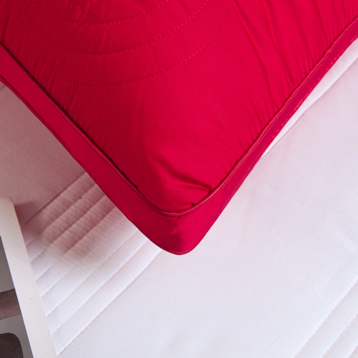 91家纺网 家纺一手货源 找家纺 （总）新品 兴丝露枕芯 全棉刺绣羽丝枕 枕芯 立体双边枕 全棉枕芯 成人枕头