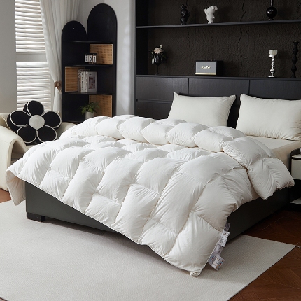 抗日家纺 专版新品金砖系列120支超柔软糯面料 金砖一号羽绒被  白色