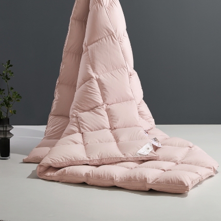 91家纺网 家纺一手货源 找家纺 （总）超静音 95白鹅绒被子糯棉羽绒被春秋被加厚冬被保暖家用结婚被芯床品