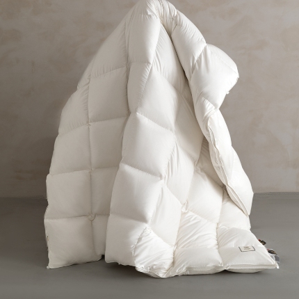 （总）特价 真品白鸭绒羽绒被加厚保暖冬被芯单人鸭绒被冬天季春秋被子