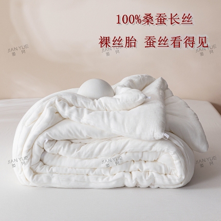 91家纺网 家纺一手货源 找家纺 （总）茧月 蚕丝被 100%桑蚕长丝裸胎 蚕丝原料被芯被子可定做 国标优等品