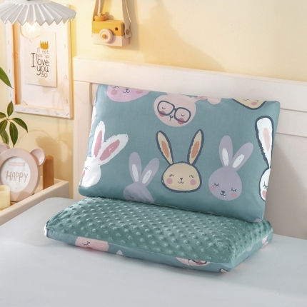 91家纺网 家纺一手货源 找家纺 （总）冬巢 2024新款AB版全棉豆豆绒枕头枕套