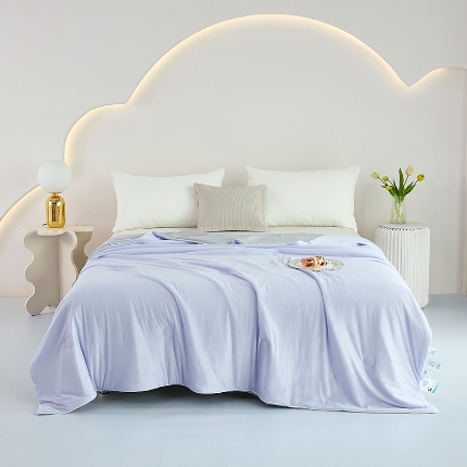 2026延遥新款氨纶凉感天丝夏被夏凉被空调被 丁香紫