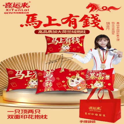 （总）加大加厚 荷兰绒抱枕马年抱枕马年抱枕保险公司礼品定制logo团购促销礼品礼盒装促销礼盒