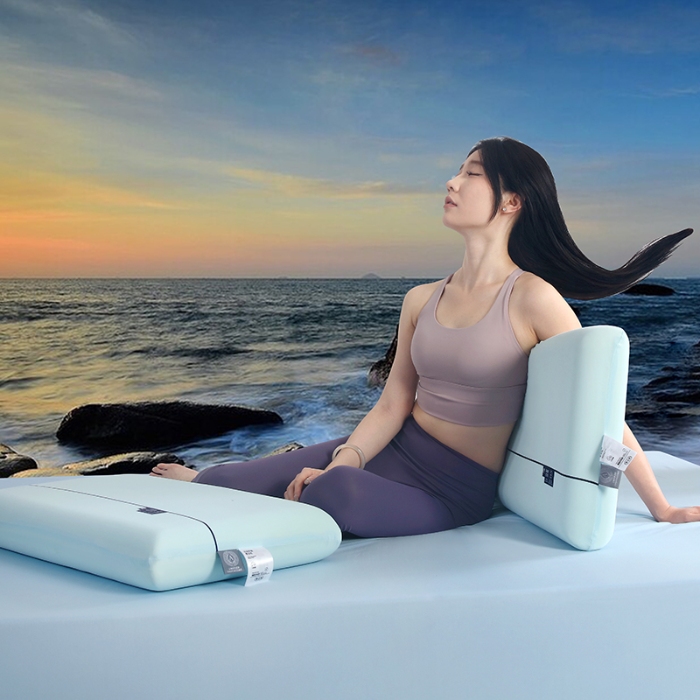 91家纺网 家纺一手货源 找家纺 （总）天之悦家纺 2026 云朵记忆棉枕头枕芯深睡软弹助眠家用学生宿舍护颈枕