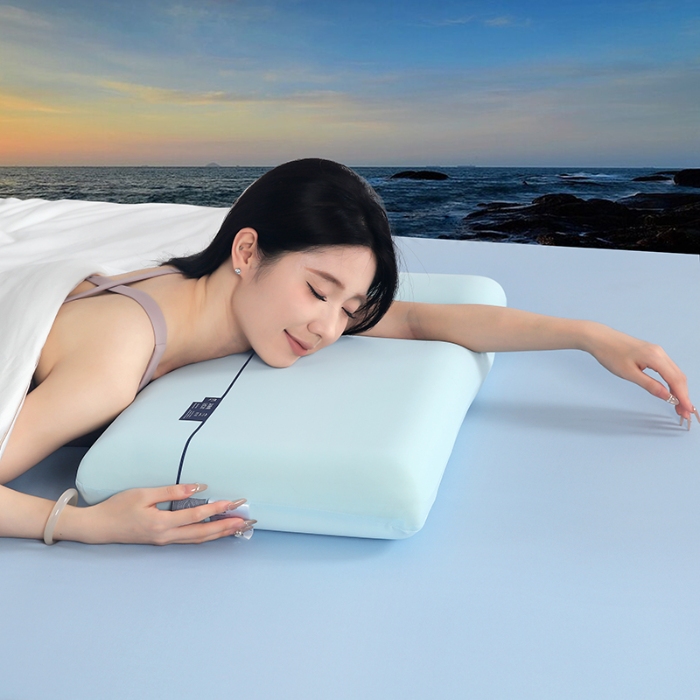 91家纺网 家纺一手货源 找家纺 （总）天之悦家纺 2026 云朵记忆棉枕头枕芯深睡软弹助眠家用学生宿舍护颈枕