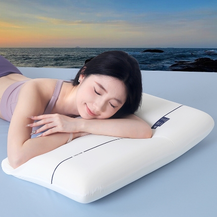 （总）2026新款记忆枕芯深睡眠慢回弹记忆棉枕头酒店家用枕厂家直销