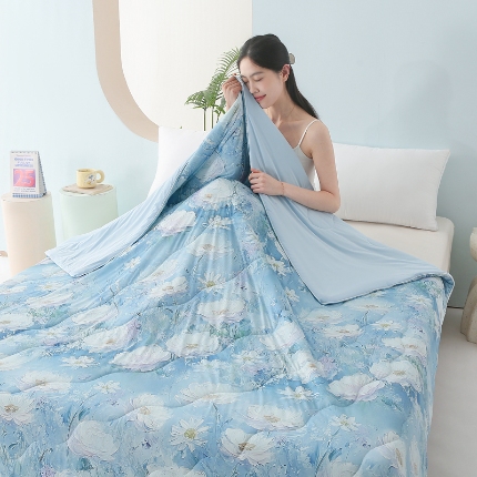 91家纺网 家纺一手货源 找家纺 （总）天之悦家纺 2026新款夏被大版数码云母冰丝夏凉被空调被子被芯