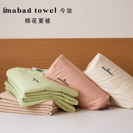 91家纺网 家纺一手货源 找家纺 （总）明治西川 色织彩棉 棉花夏被A类全棉夏凉被 imabari towel今治 棉花 可水洗 机洗