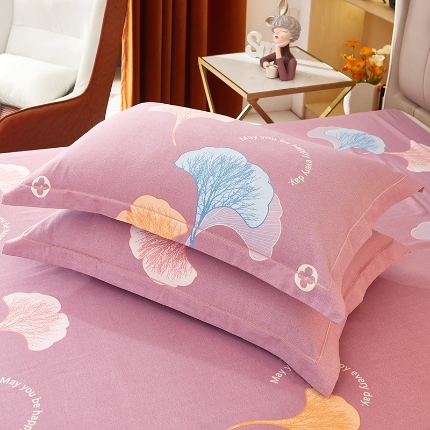 （总1）安逸家纺 新款全棉枕套加厚生态磨毛学生单枕套一对