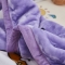 91家纺网 家纺一手货源 找家纺 凯轩毛毯 2019新款加厚儿童云毯 快乐小象-紫