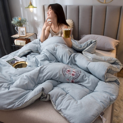 91家纺网 家纺一手货源 找家纺 （总）苹果星家纺 2019新款云朵绒冬被被子被芯绣花被