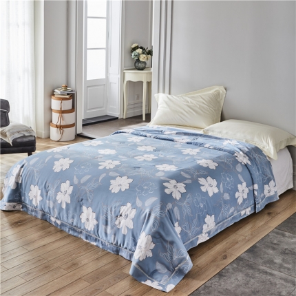 91家纺网 家纺一手货源 找家纺 （总）朵希曼 2020新款40天丝夏被系列