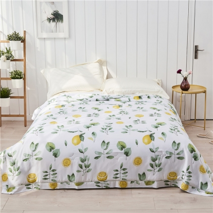 91家纺网 家纺一手货源 找家纺 （总）朵希曼 2020新款40天丝夏被系列