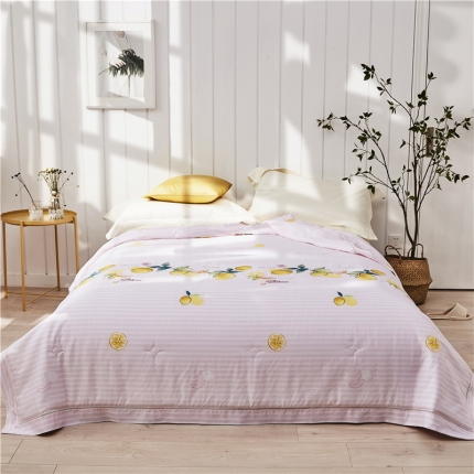 91家纺网 家纺一手货源 找家纺 （总）朵希曼 2020新款40天丝夏被系列