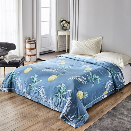 91家纺网 家纺一手货源 找家纺 （总）朵希曼 2020新款40天丝夏被系列