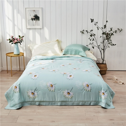 91家纺网 家纺一手货源 找家纺 （总）朵希曼 2020新款40天丝夏被系列