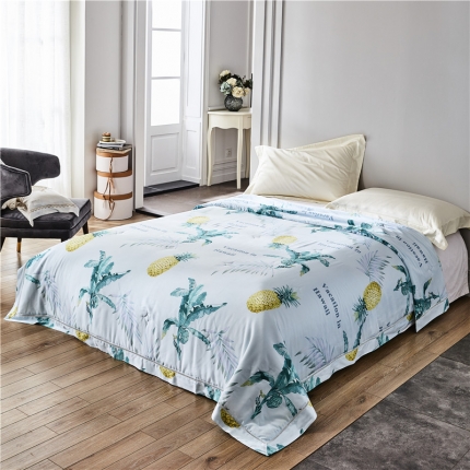 91家纺网 家纺一手货源 找家纺 （总）朵希曼 2020新款40天丝夏被系列