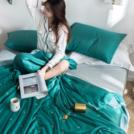 91家纺网 家纺一手货源 找家纺 （总）漫调 独家定制ins风满天星莫代尔天丝夏被刺绣夏被