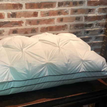 91家纺网 家纺一手货源 找家纺 剑桥枕业 全棉羽丝绒纽花枕头单人立体软枕芯48*74