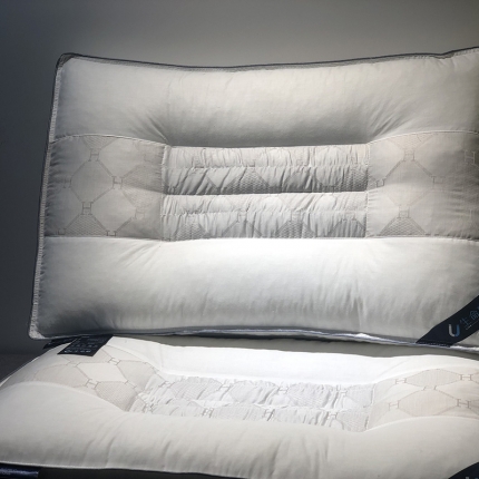 剑桥枕业 生命磁定型枕保健舒适护颈枕 白色