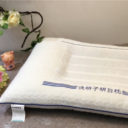 91家纺网 家纺一手货源 找家纺 （总）剑桥枕业 2020新款针织决明子枕