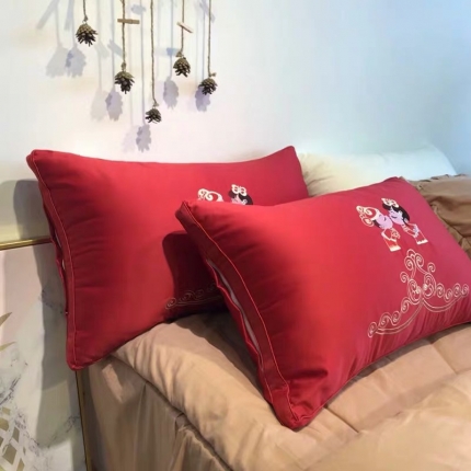 91家纺网 家纺一手货源 找家纺 （总）剑桥枕业 2019新款相亲相爱婚庆单人压缩柔软羽丝绒枕