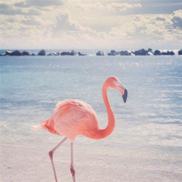 91家纺网 家纺一手货源 找家纺 （总）棉生活  全棉40支13372四件套  床单款实拍图