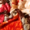 91家纺网 家纺一手货源 找家纺 米莱家纺 2018新款加厚法莱绒单被套 国色天香