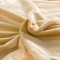 91家纺网 家纺一手货源 找家纺  凌依家纺 保暖被套海藻绒（单被套）雅典女神