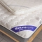 91家纺网 家纺一手货源 找家纺 （总）布卢姆床垫 2019全棉防水英威达抗菌防螨床垫