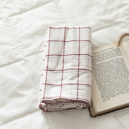 例外Home 单品枕套 一对18元 初春