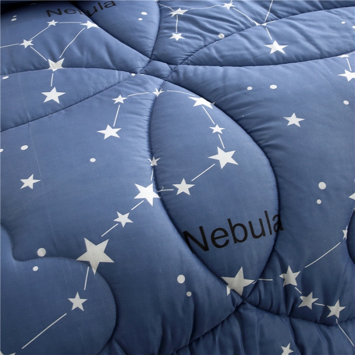 91家纺网 家纺一手货源 找家纺 畅销被业 2021新款印花冬被 摩登舞步