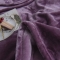 91家纺网 家纺一手货源 找家纺 （总）2024新款加厚纯色500克法兰绒毛毯紫貂绒毯子2.5公斤