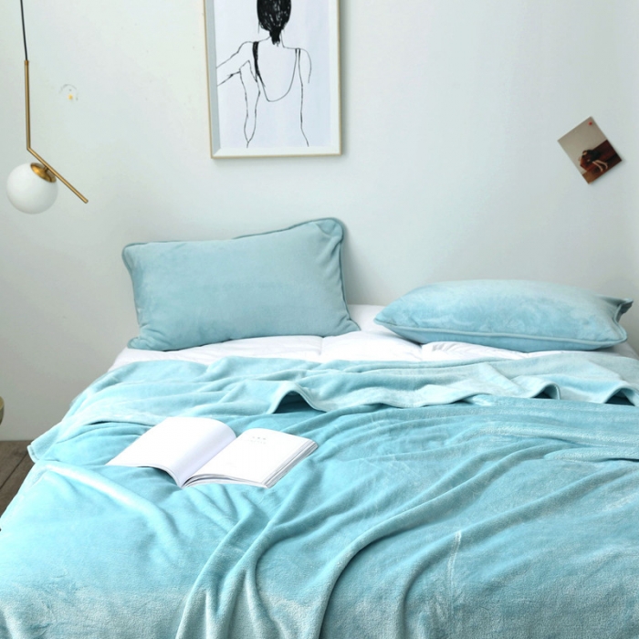 91家纺网 家纺一手货源 找家纺 总2025纯色加厚法莱绒毛毯珊瑚绒毯子多规格盖毯1.5KG