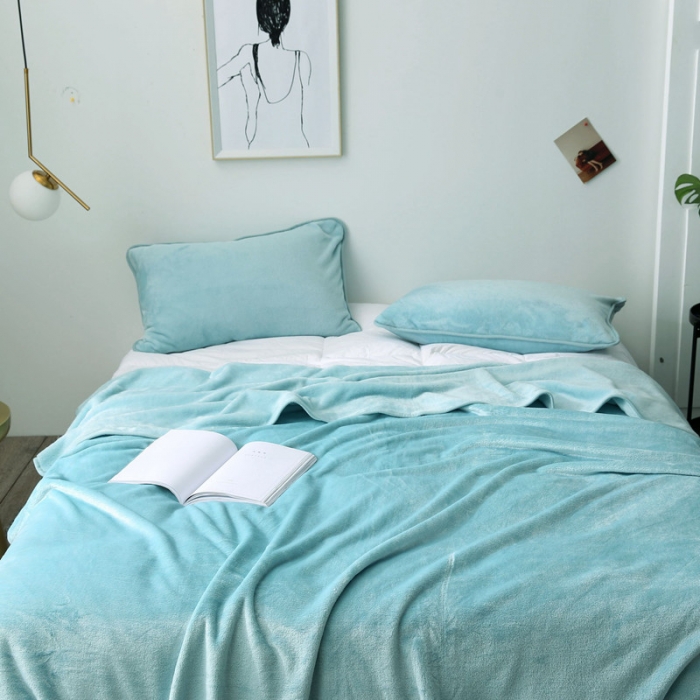 91家纺网 家纺一手货源 找家纺 总2025纯色加厚法莱绒毛毯珊瑚绒毯子多规格盖毯1.5KG