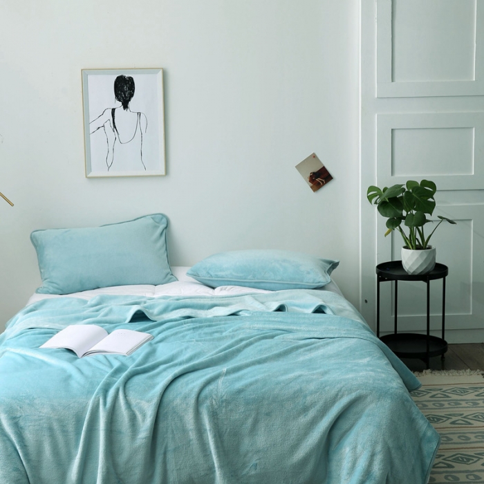 91家纺网 家纺一手货源 找家纺 总2025纯色加厚法莱绒毛毯珊瑚绒毯子多规格盖毯1.5KG